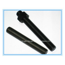 (ASTM A193 B7) Thread Rod/Thread Bar/Full Thread Bolt with 2h Nuts